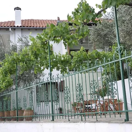 Chrysamare Luxury Living Ολόκληρη Κατοικία Afissos Exterior photo