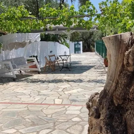 Chrysamare Luxury Living Ολόκληρη Κατοικία Afissos Exterior photo