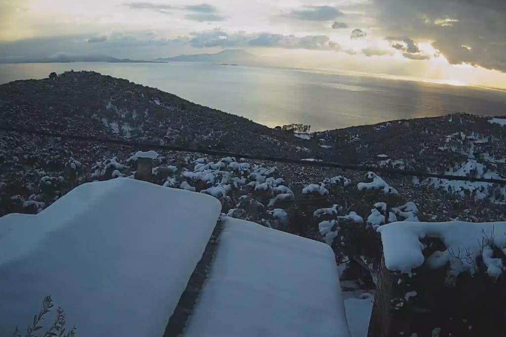 Chrysamare Luxury Living ολόκληρη *