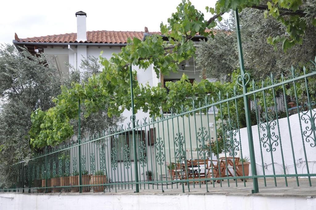 Chrysamare Luxury Living ολόκληρη