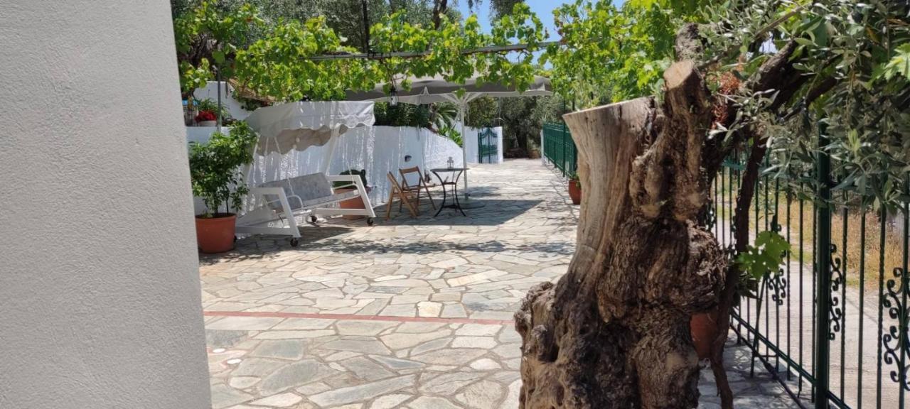 Apartment Chrysamare Luxury Living ολόκληρη